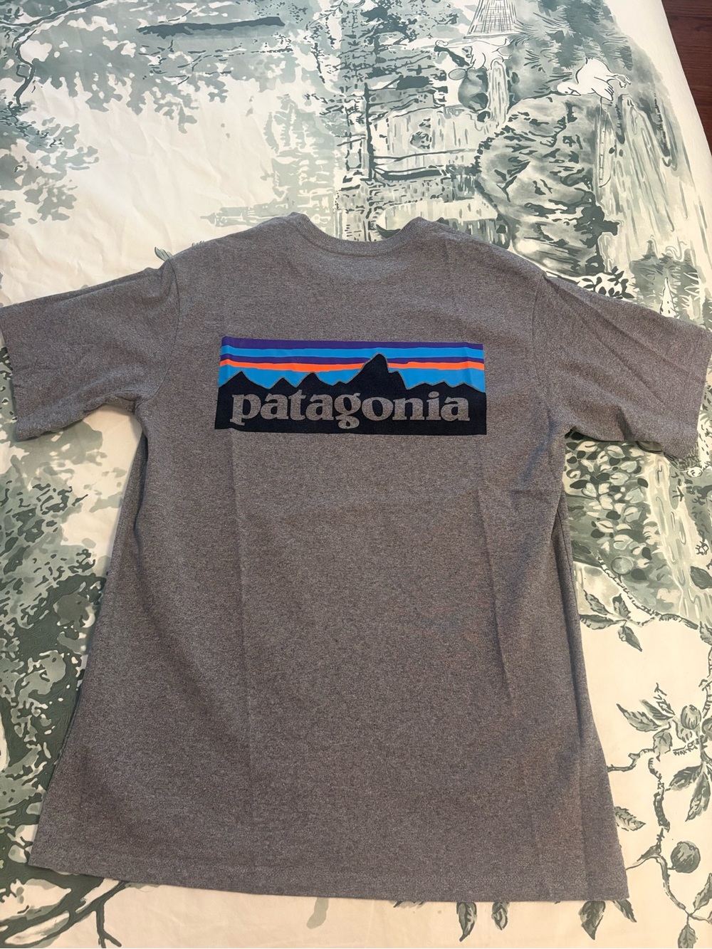 Women’s Patagonia Grey Short-Sleeve Tee with Multicolor Mountain Logo XS